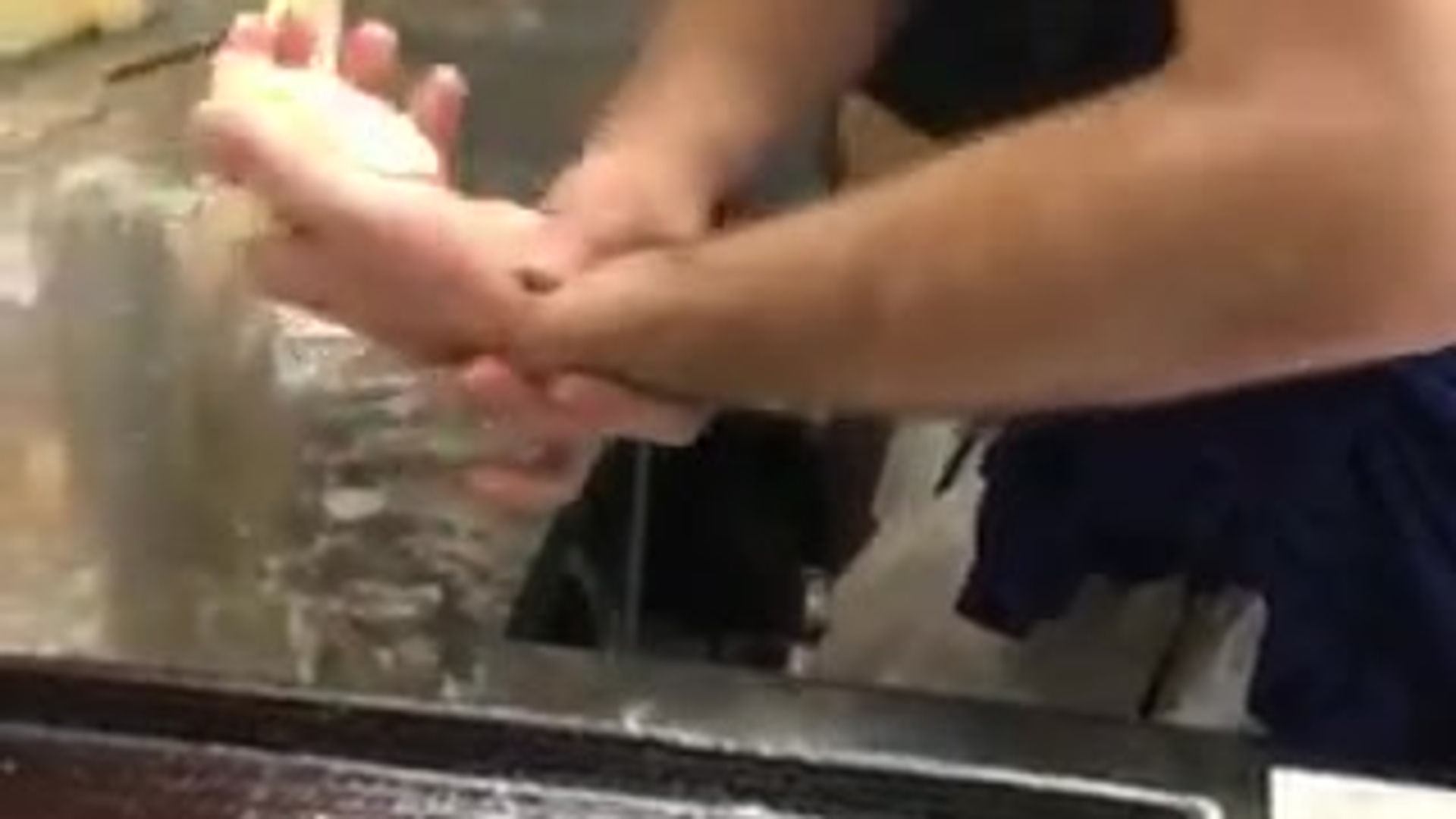 すべての動画